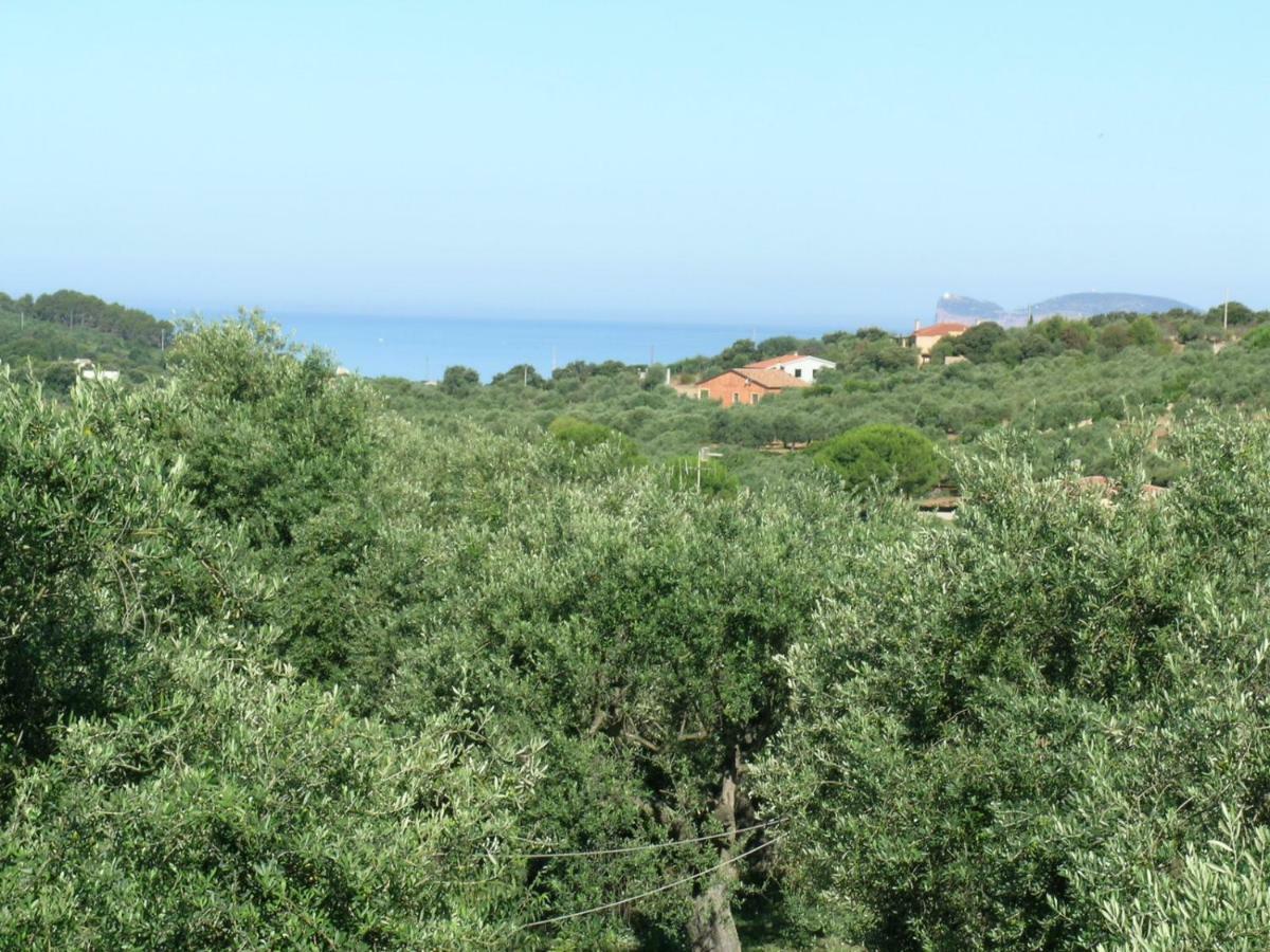 Villa La Scaletta Alghero Exterior photo